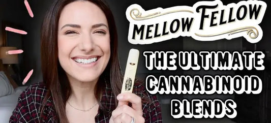 Mellow Fellow Disposable Vape, Mellow Fellow Cartridges and Gummies